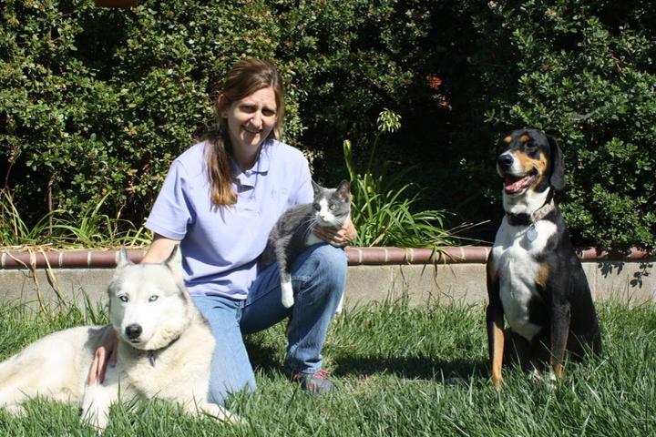 Pet Friendly Dixie's Critter Care & Dog Training