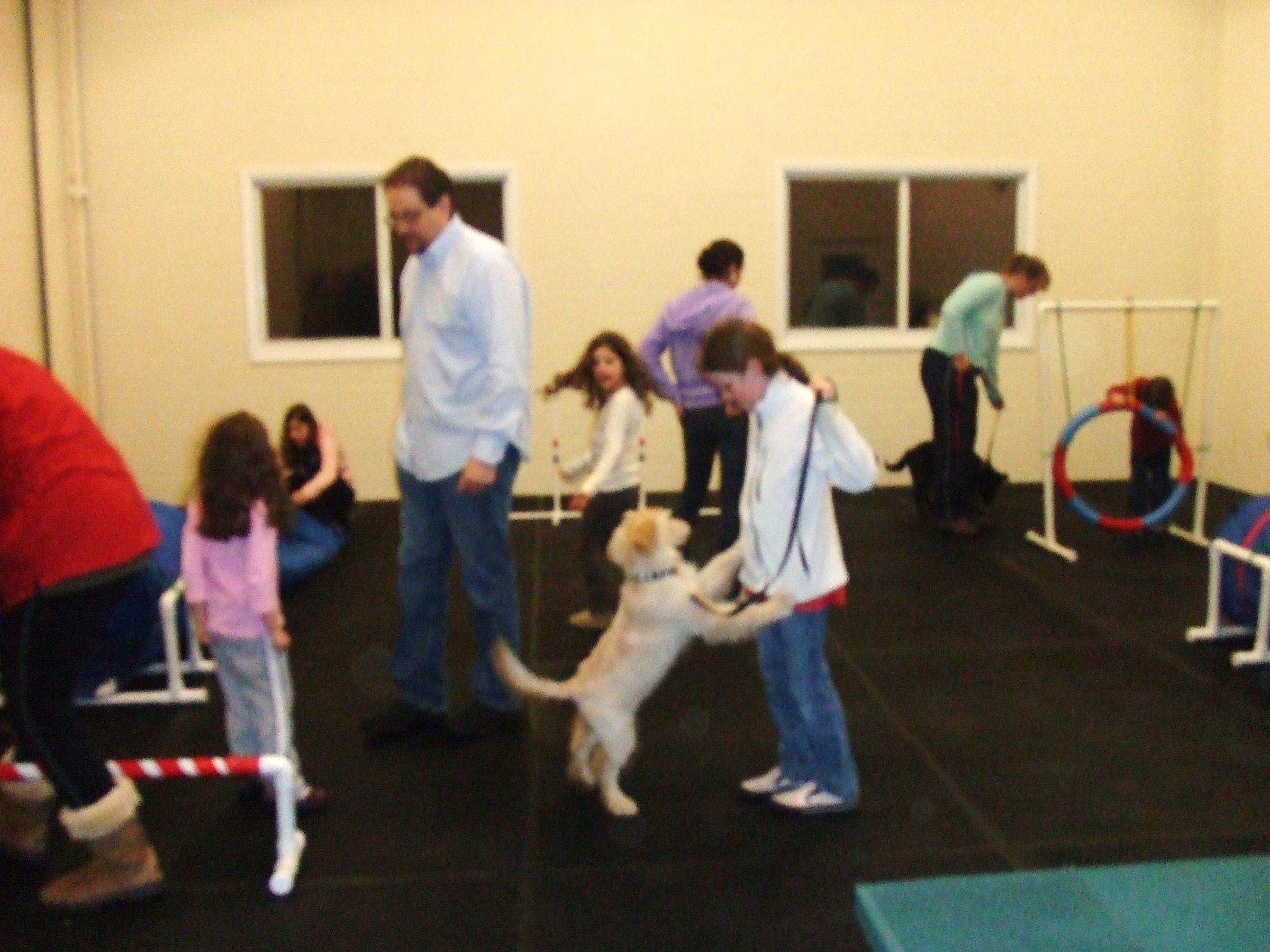 Pet Friendly Pet Degree Dog Training Center