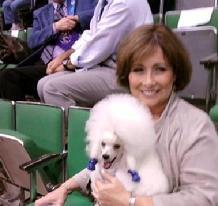 Directory Of Doggie Daycare Boarding In Fort Lauderdale Fl Bringfido