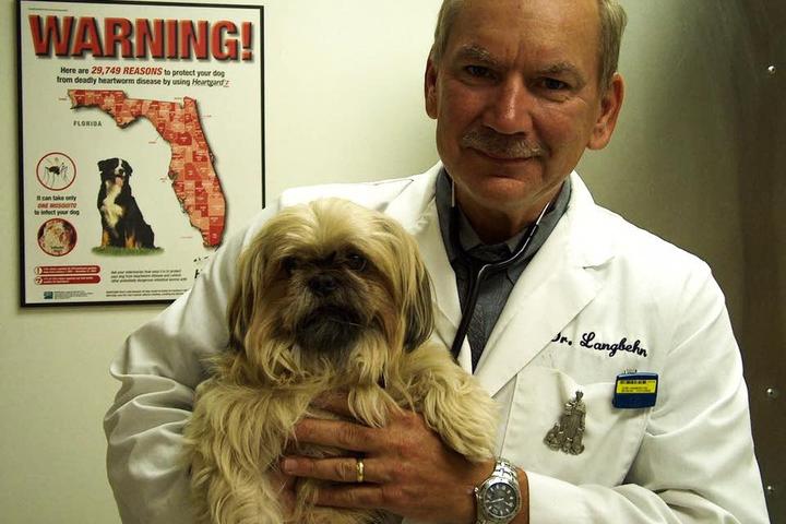 Directory of Veterinarians in Tampa, FL - BringFido Directory of Veterinarians in Tampa, FL - BringFido