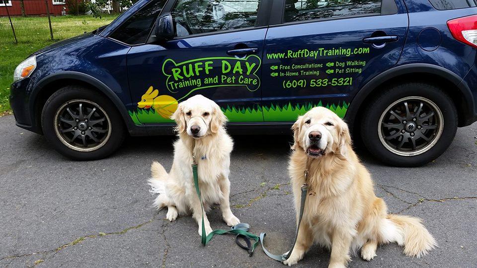 Pet Friendly Ruff Day Training and Pet Care