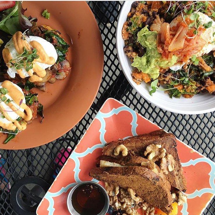 Juicy Kitchen Is Pet Friendly