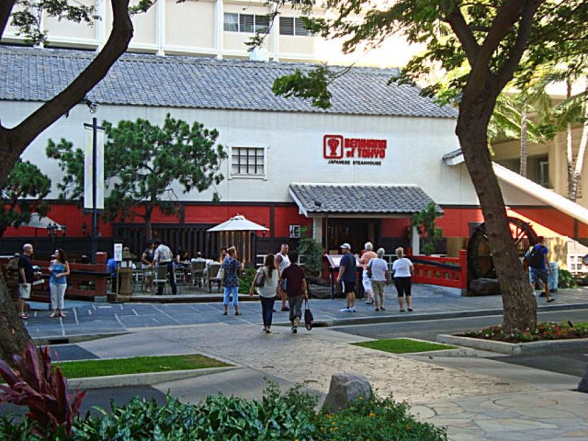 Benihana Is Pet Friendly