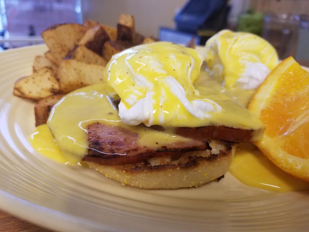 Main Kitchen Cafe Is Pet Friendly