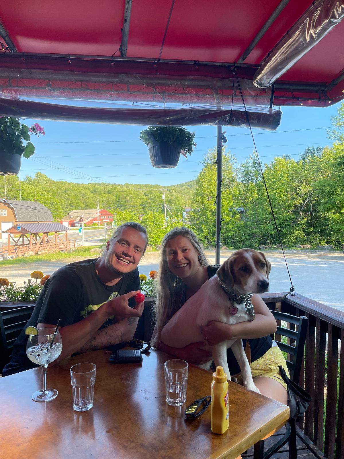 Dog Friendly Restaurants in Royalton VT BringFido