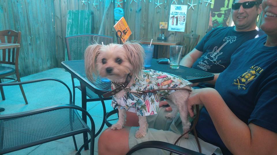 Pet Friendly Crackers Island Grille