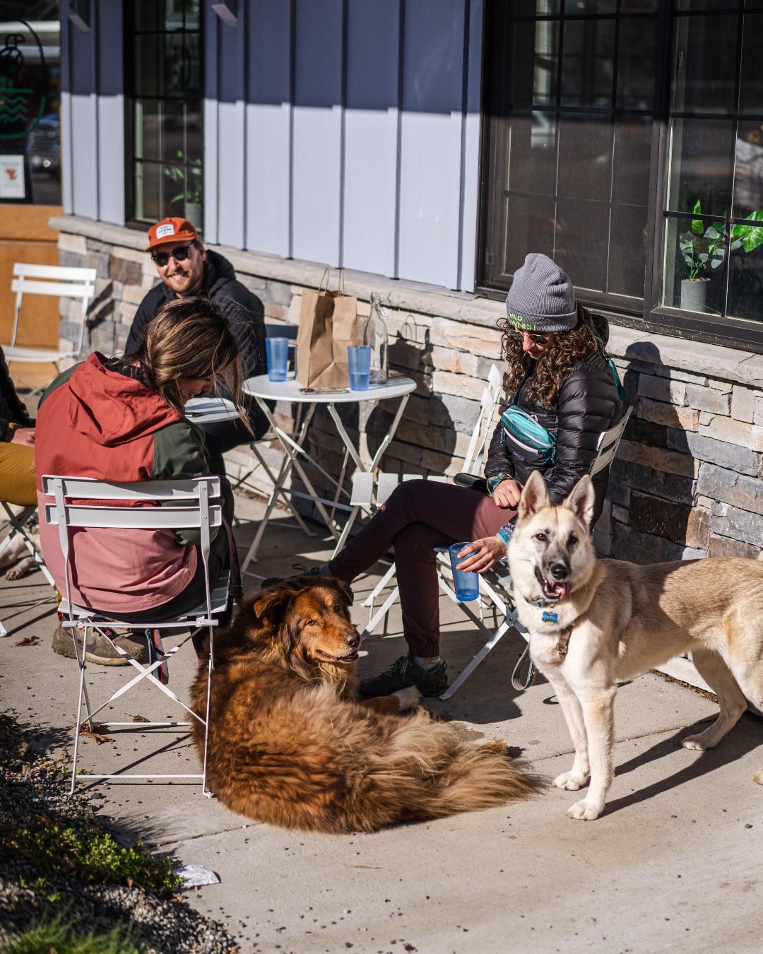 Pet Friendly Gorges Beer Co