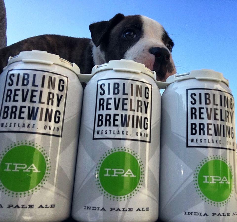 Pet Friendly Sibling Revelry Brewing