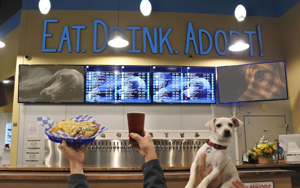 Dog Friendly Restaurants In Tigard Or Bringfido