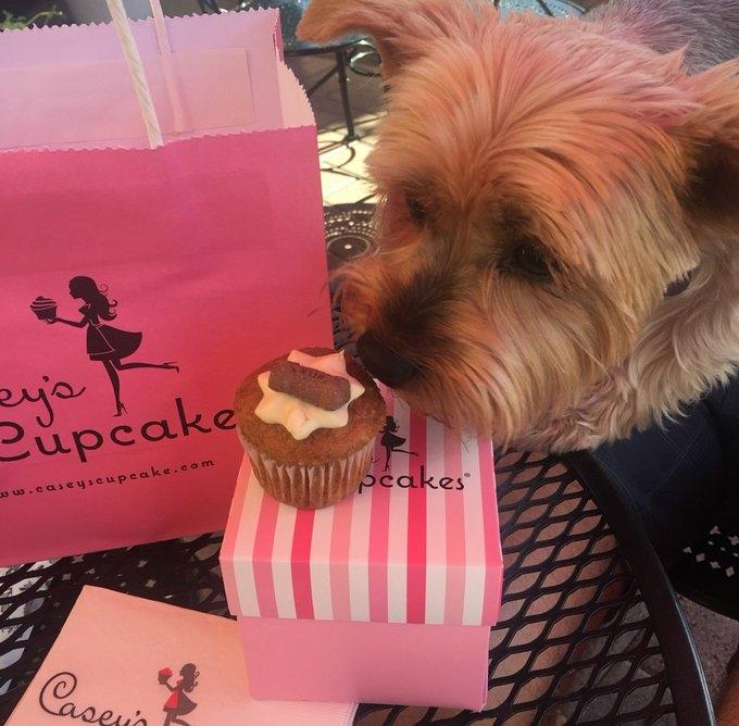 Pet Friendly Casey's Cupcakes at the Mission Inn