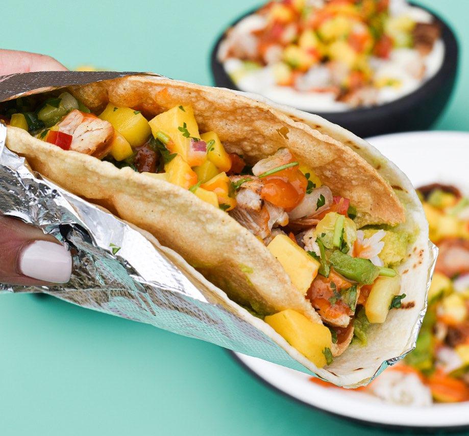 Barrio East Lansing Pet Policy barrio-east-lansing-pet-policy