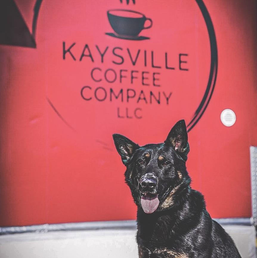 Pet Friendly Kaysville Coffee Company