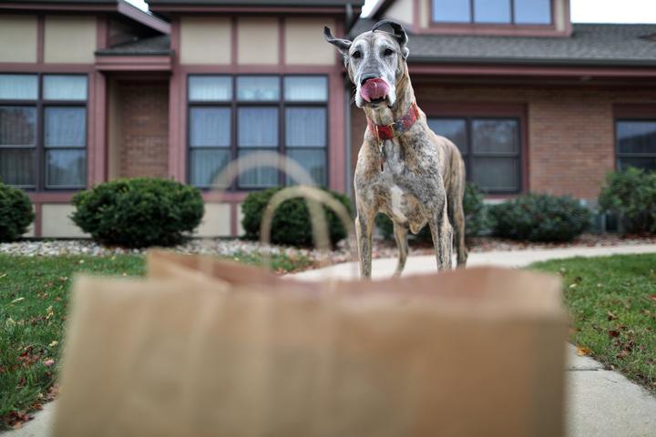 Dog Friendly Restaurants In Rothschild Wi Bringfido