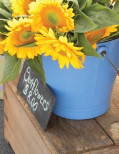 Flour Garden Bakery Is Pet Friendly