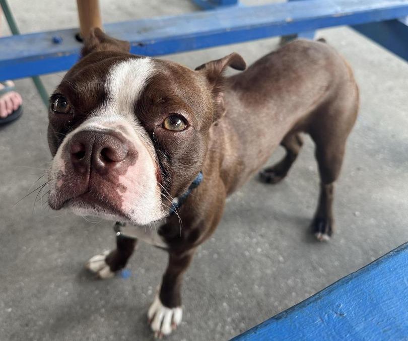 Pet Friendly Jerry's Dockside Bar & Grill