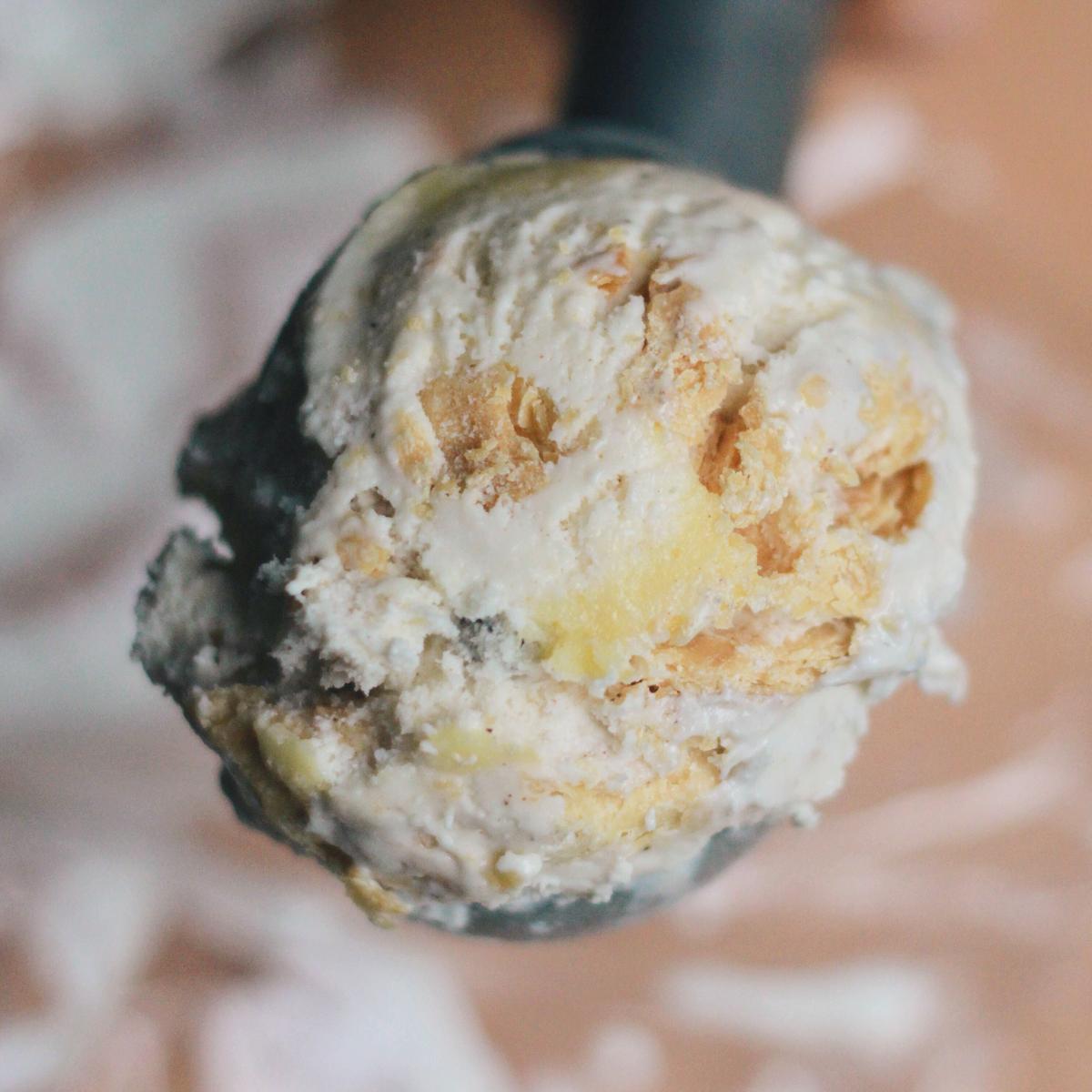 Dog friendly ice shop cream near me