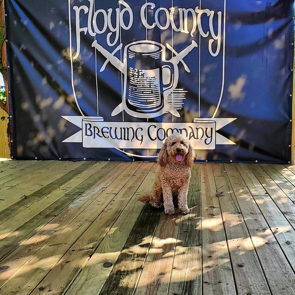Pet Friendly Floyd County Brewing Company