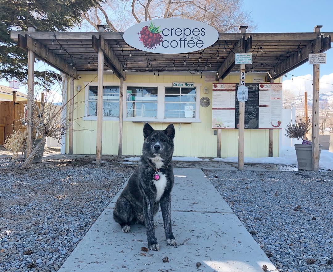 Pet Friendly Crepes and Coffee