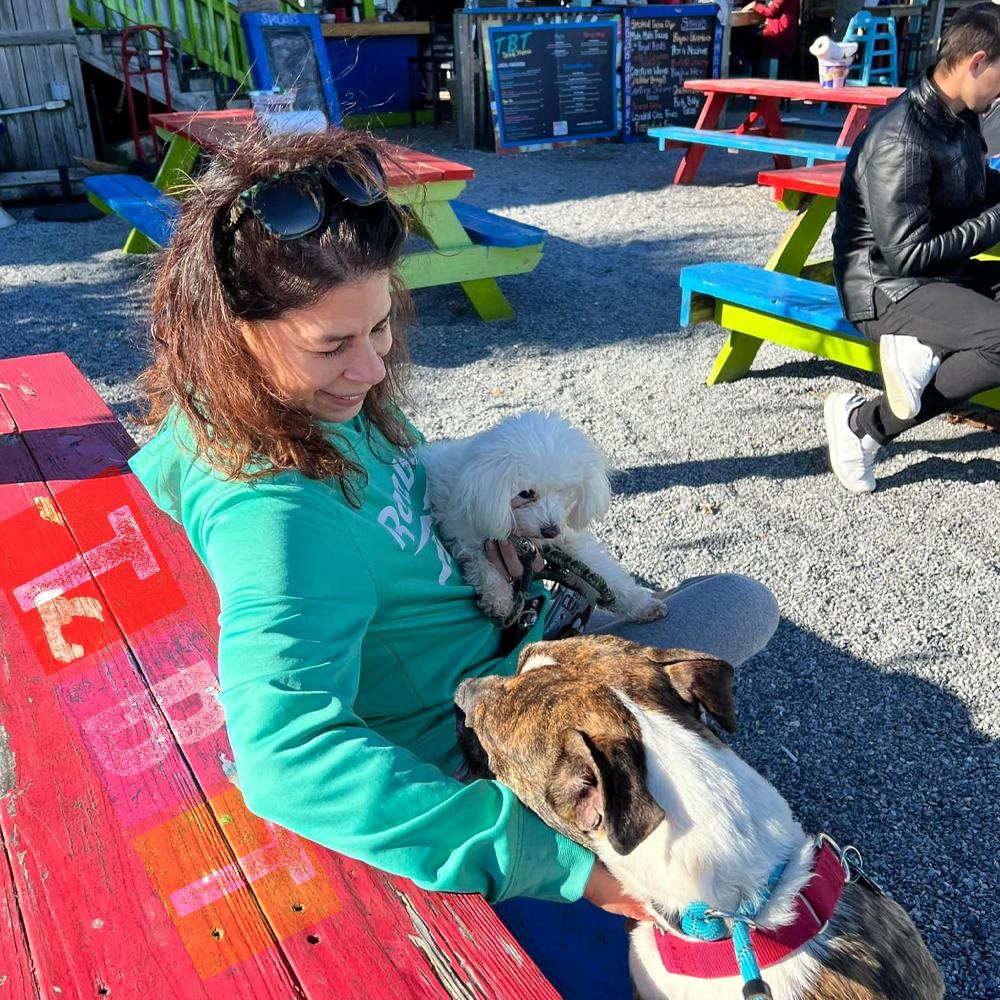 BringFido to Dog Day at Minute Maid Park