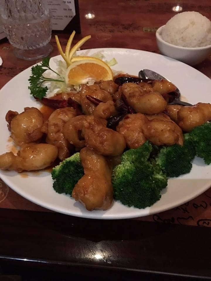 Dog Friendly Asian Restaurants In Tampa Fl Bringfido