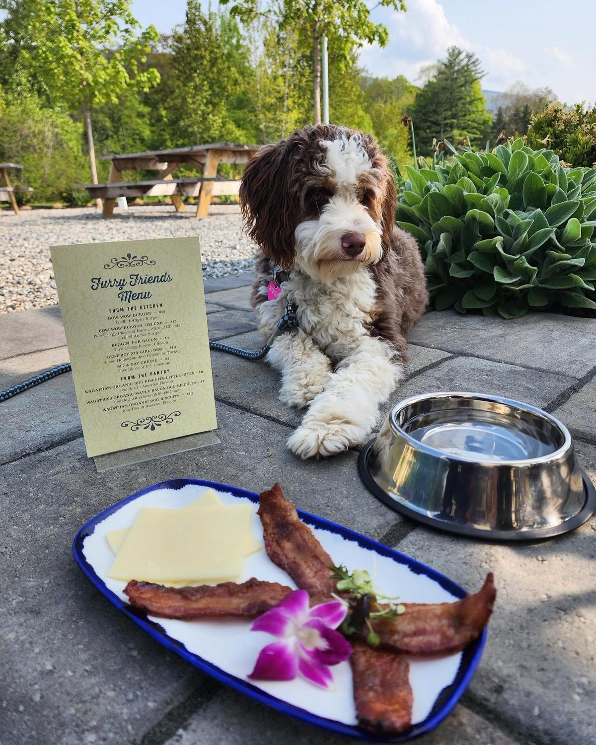 Dog Friendly Restaurants in Manchester, VT - BringFido