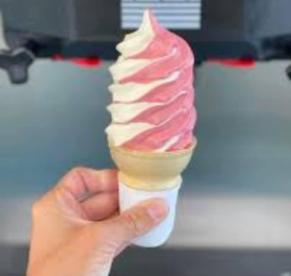 Dog Friendly Ice Cream Shops in Elyria, OH BringFido