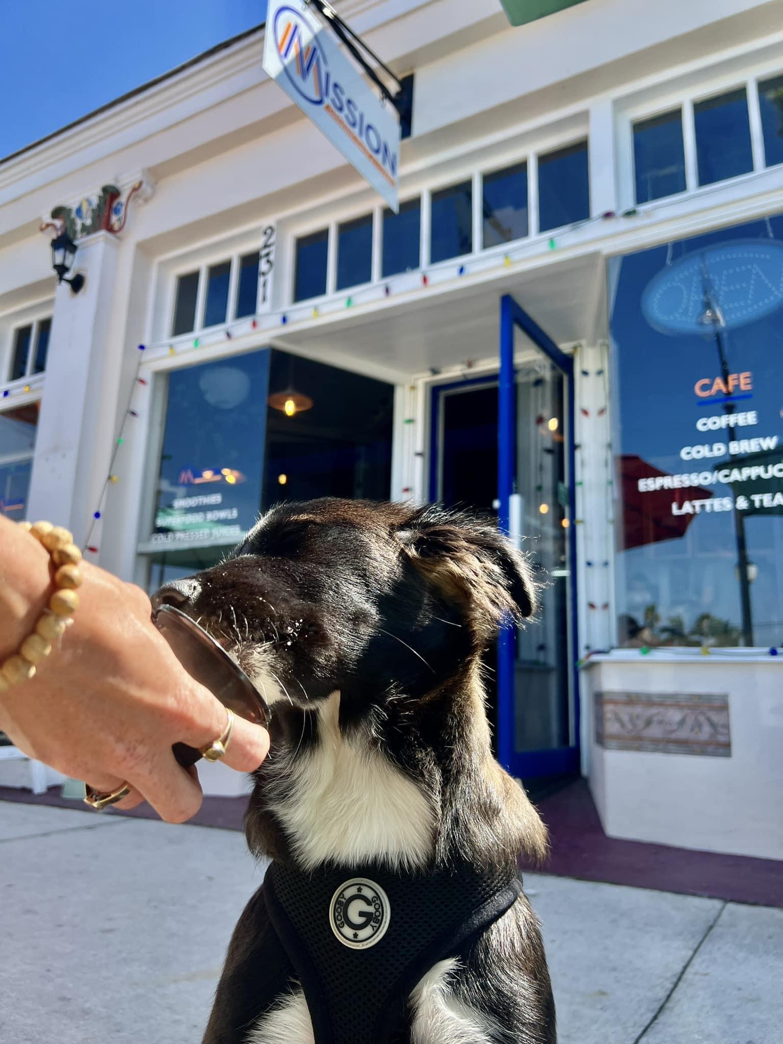 Pet Friendly Mission Organic Cafe & Coffee