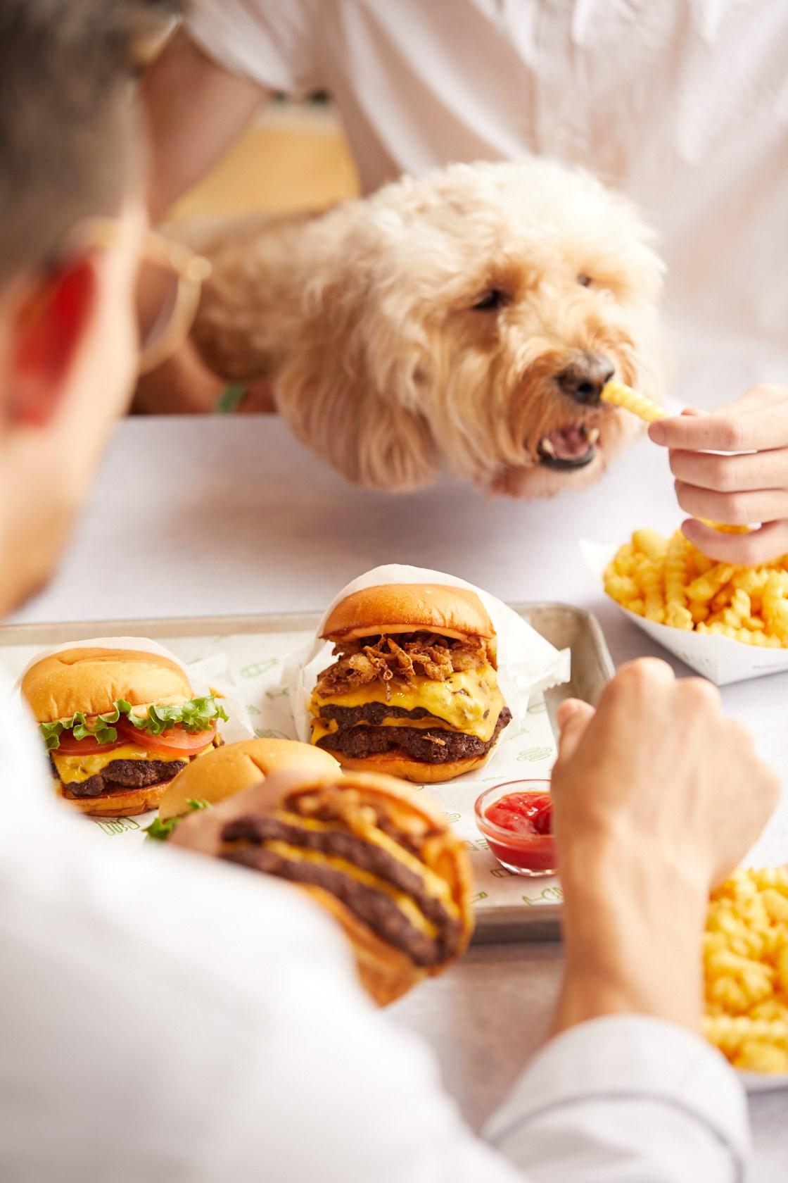 Shake shack dog discount friendly