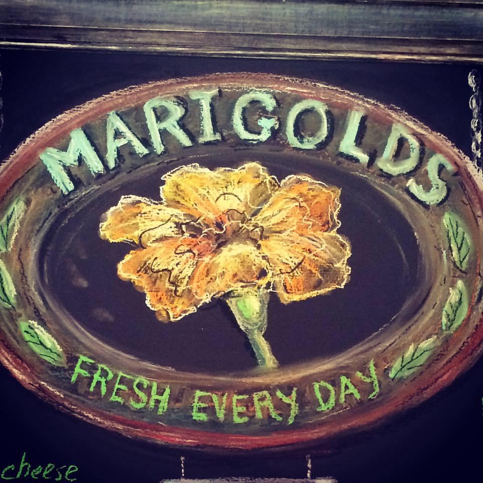 Pet Friendly Marigolds