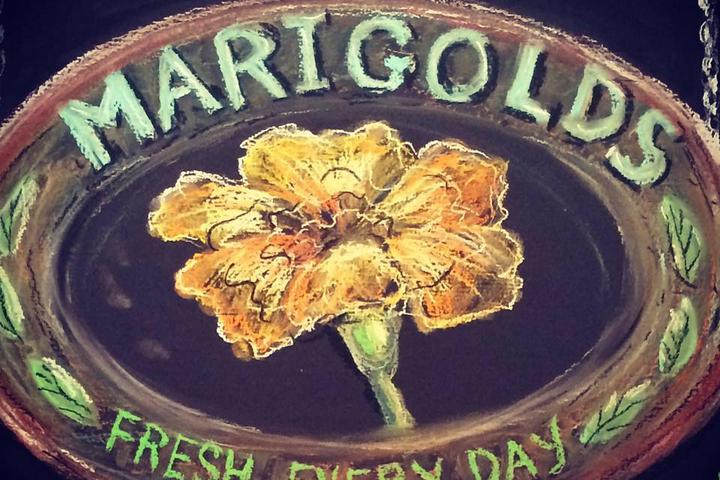 Pet Friendly Marigolds