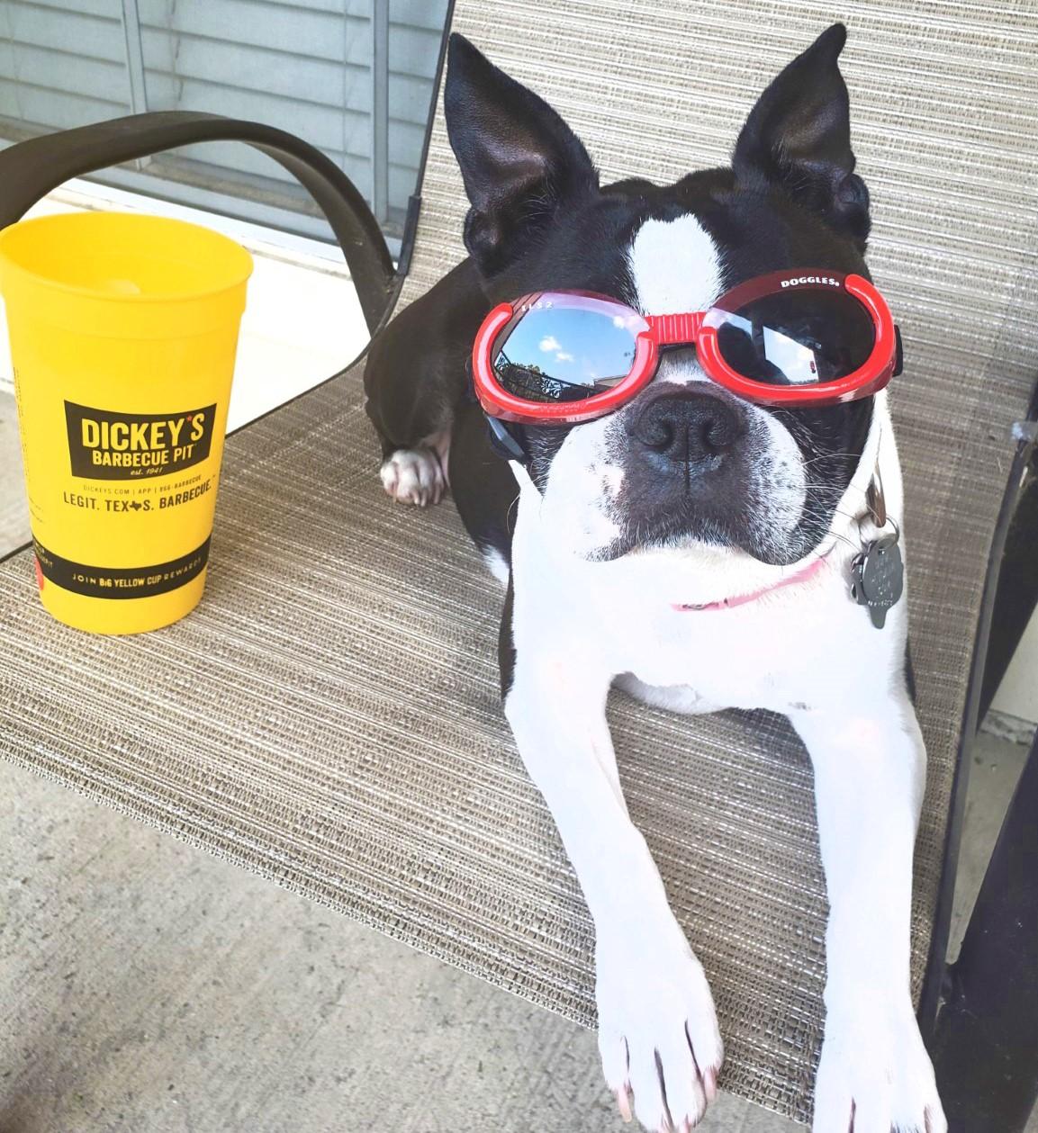 Pet Friendly Dickey's Barbecue Pit