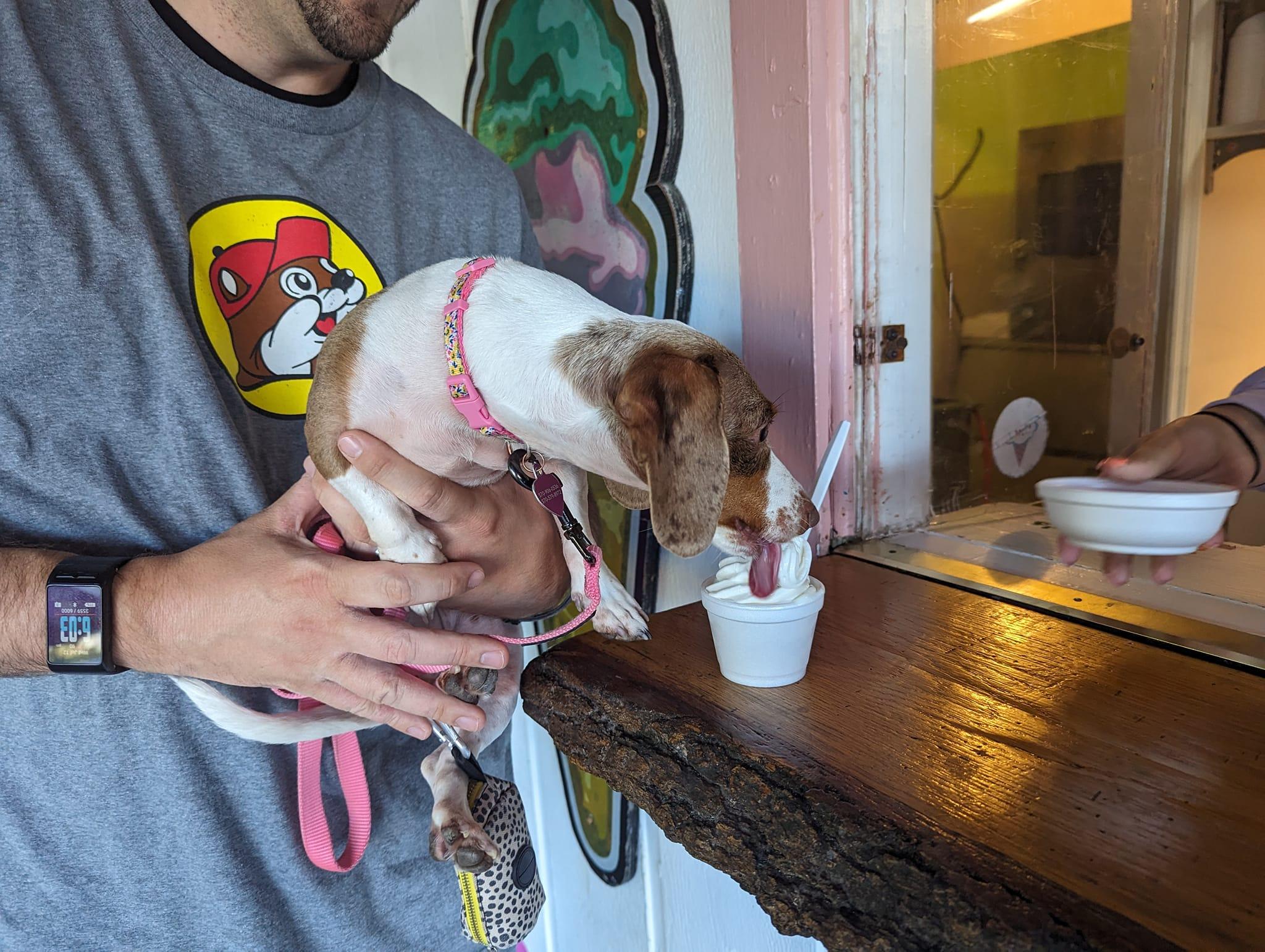 Pet Friendly Dolly's Dairy Bar & Gift Shop