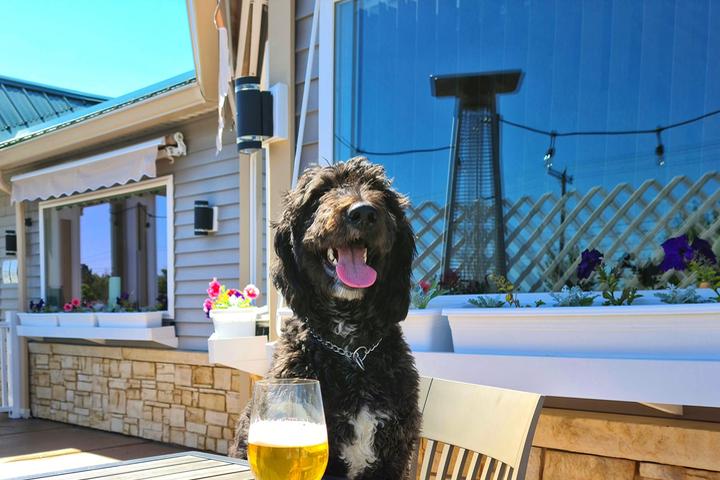 Pet Friendly Rio’s Spiked Cafe