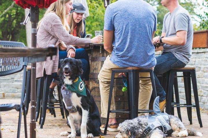 Pet Friendly Rope Hounds Taproom