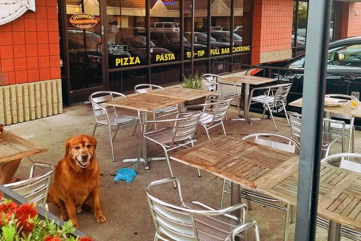 Pet Friendly O'Connors Wood Fire Grill and Bar & Catering Services
