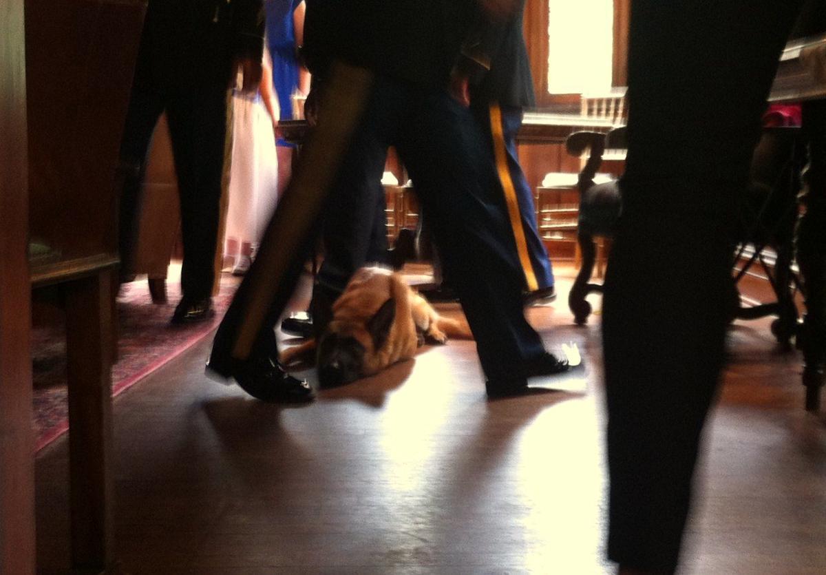 Dog Friendly Restaurants In Aiken Sc Bringfido