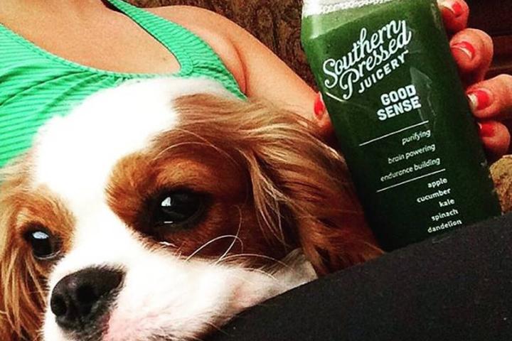 Pet Friendly Southern Pressed Juicery