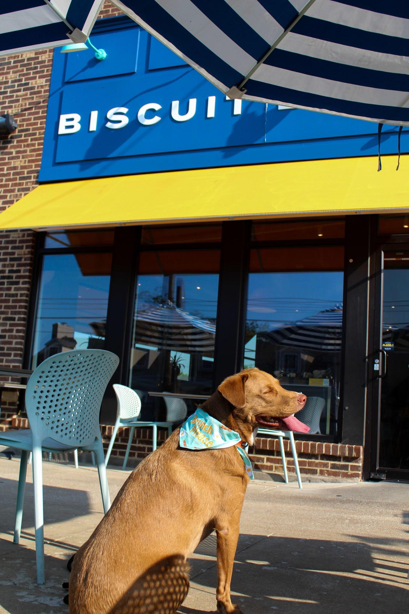 Pet Friendly Biscuit Belly - Evansville