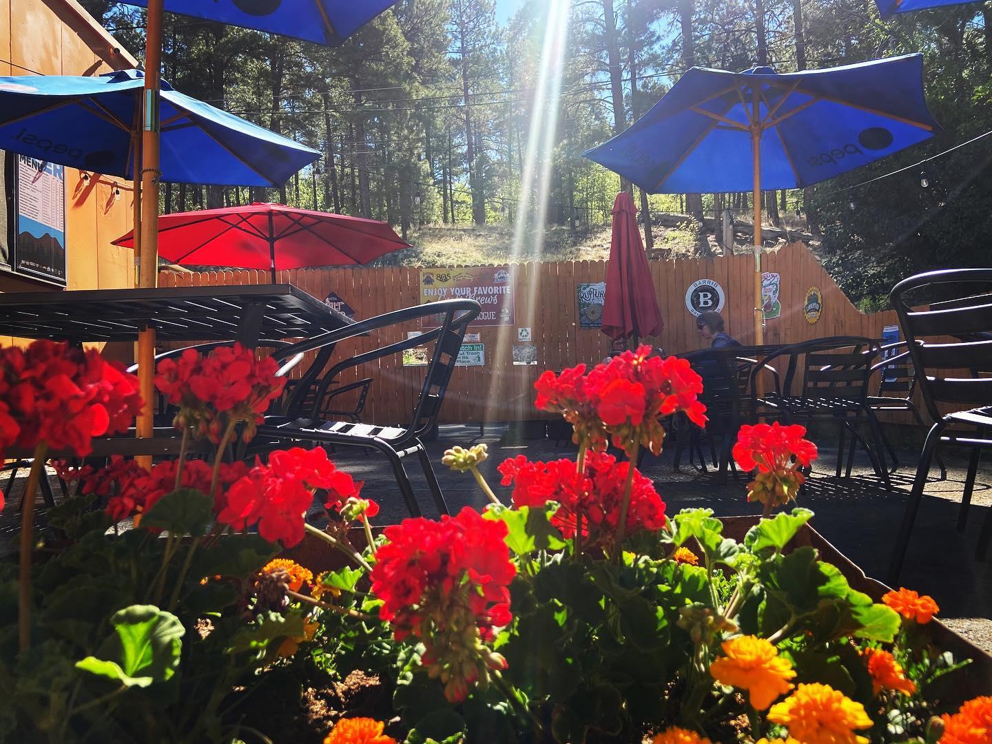 Flagstaff Station Market Cafe Pet Policy