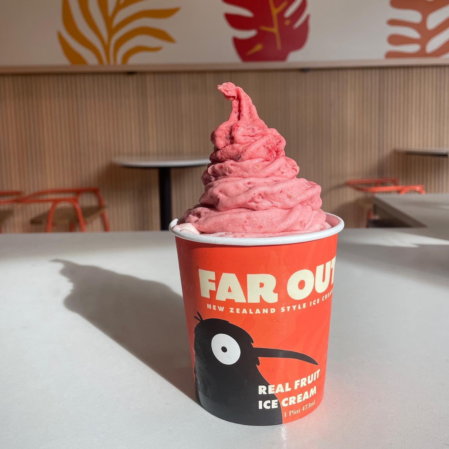 Pet Friendly Far Out Ice Cream
