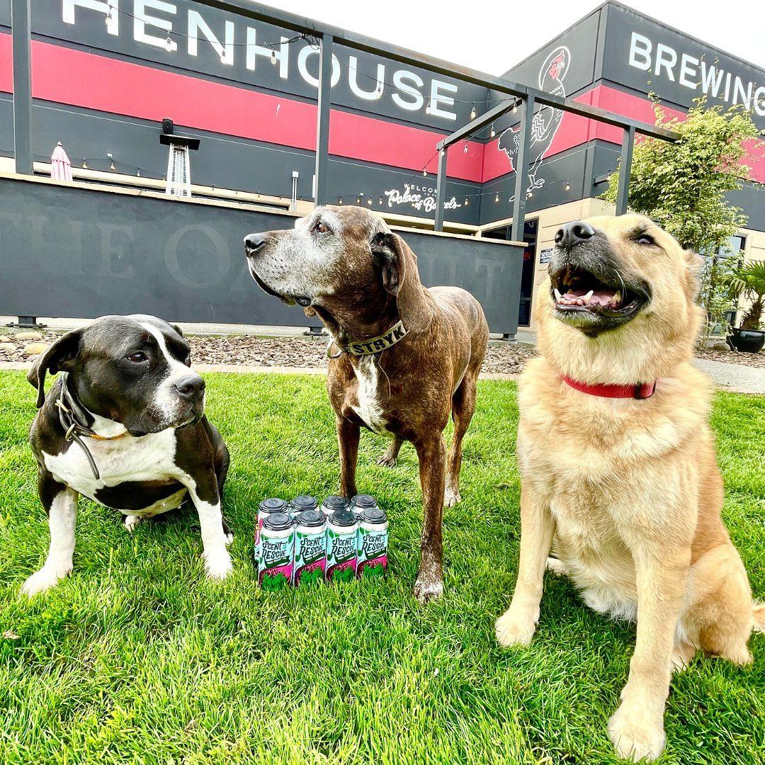 Pet Friendly HenHouse Brewing Company West County Pub