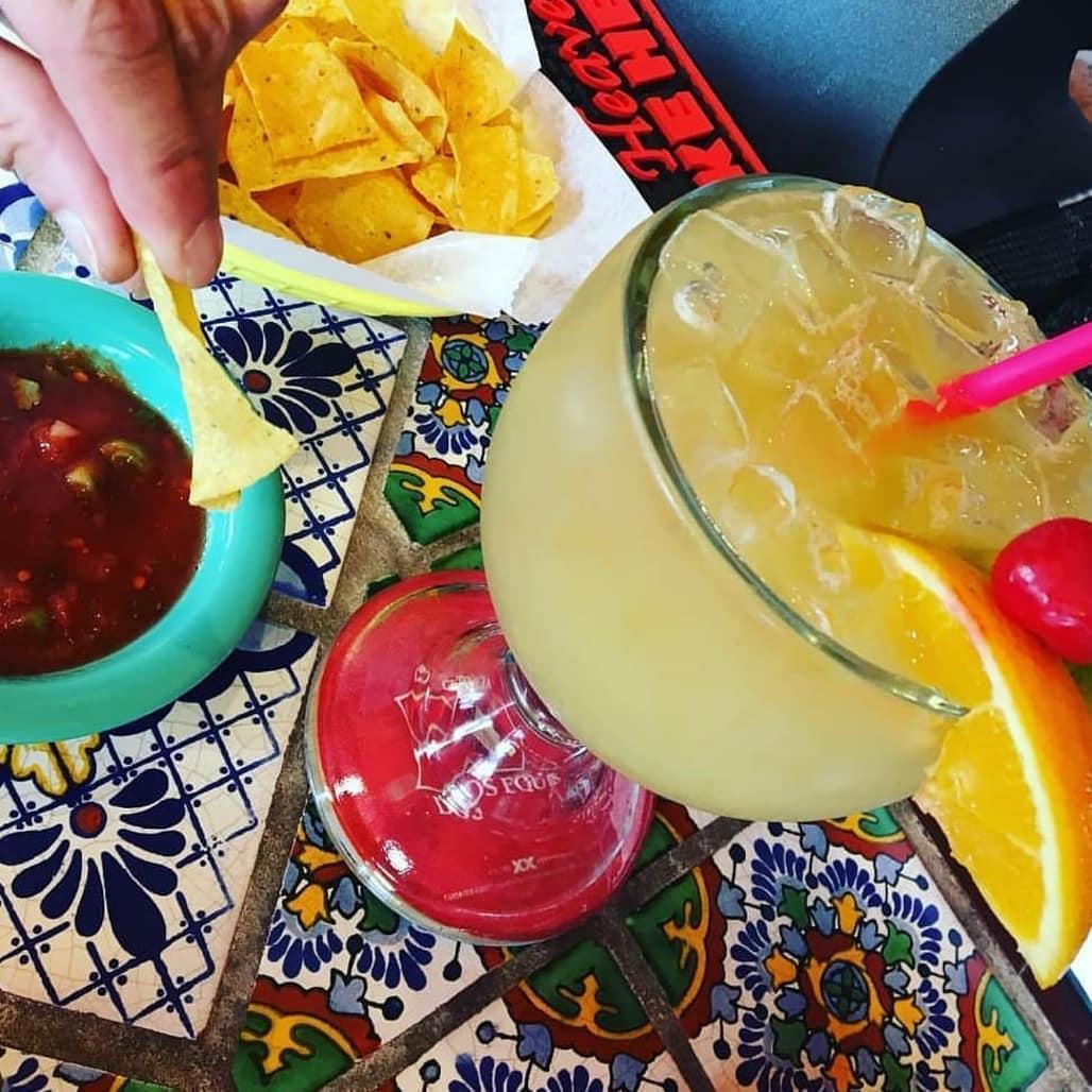 Casa Vallarta Is Pet Friendly