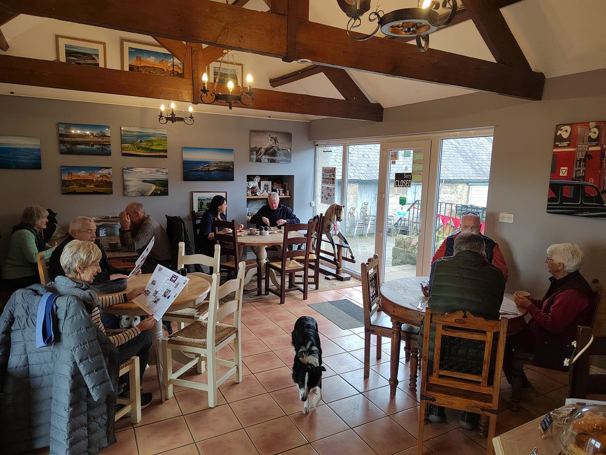 Pet Friendly Rocking Horse Cafe & Gallery