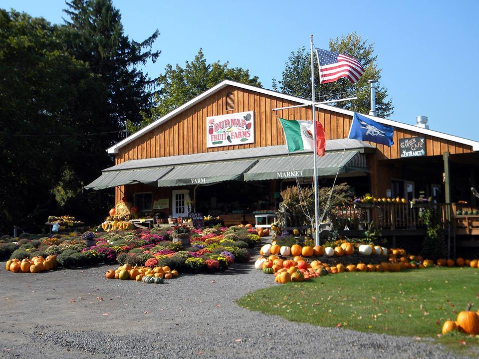 Dog Friendly Restaurants in Wolcott, NY BringFido