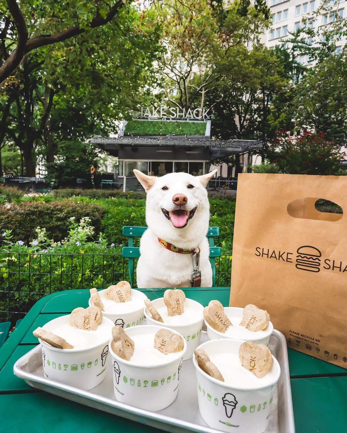 shake shack dog friendly