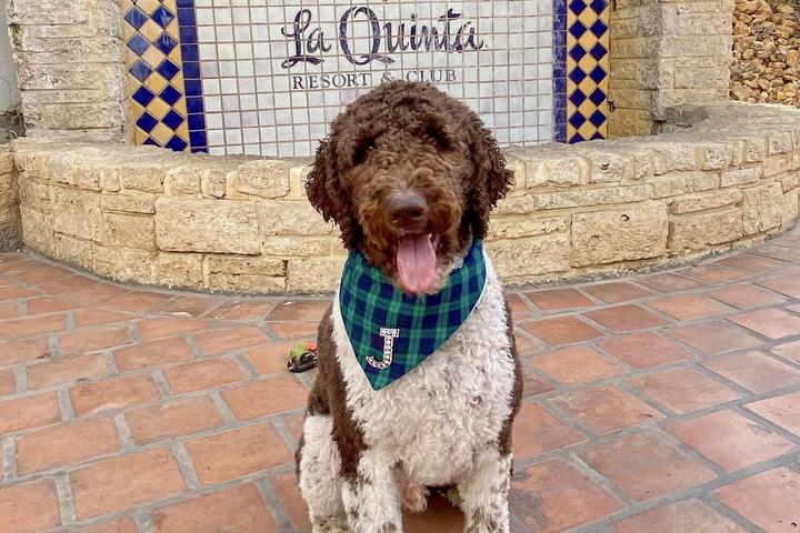 Pet Friendly Adobe Grill at La Quinta Resort
