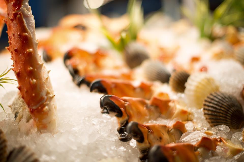 Dog Friendly Restaurants in Sarasota, FL BringFido