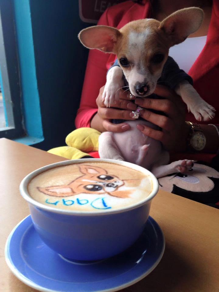 Coffee Pet s Deli Is Pet Friendly