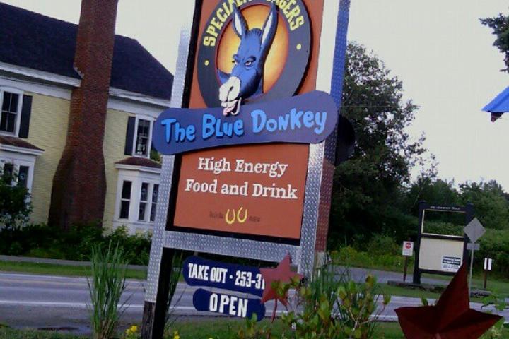 Pet Friendly Blue Donkey