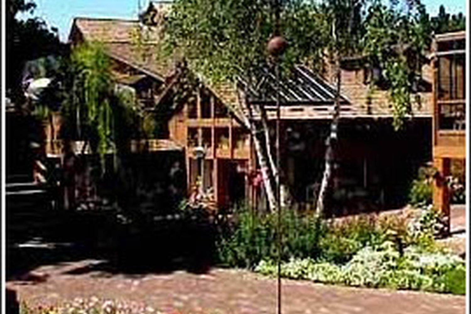 From Scratch Is Pet Friendly